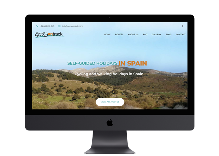 Diseño Web para Ants On Truck
