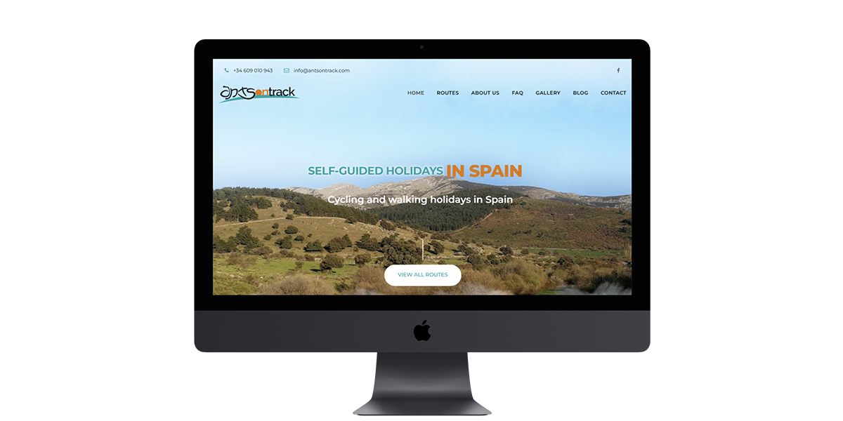Diseño Web para Ants On Truck