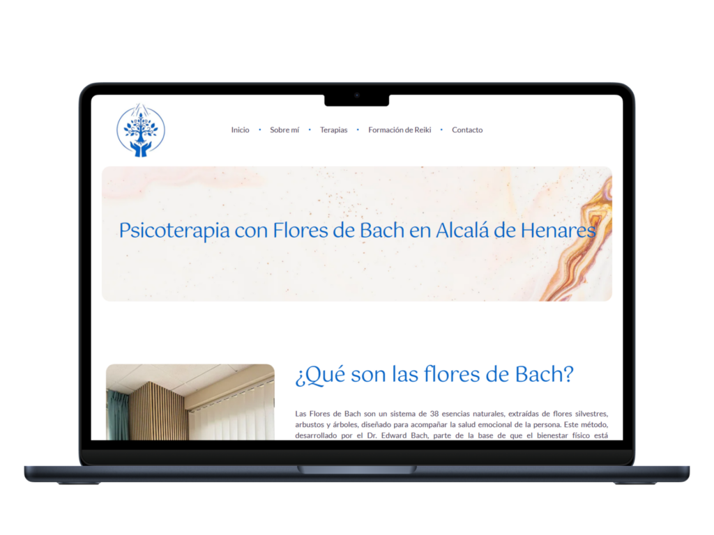 Diseño web Centro Antheas portátil