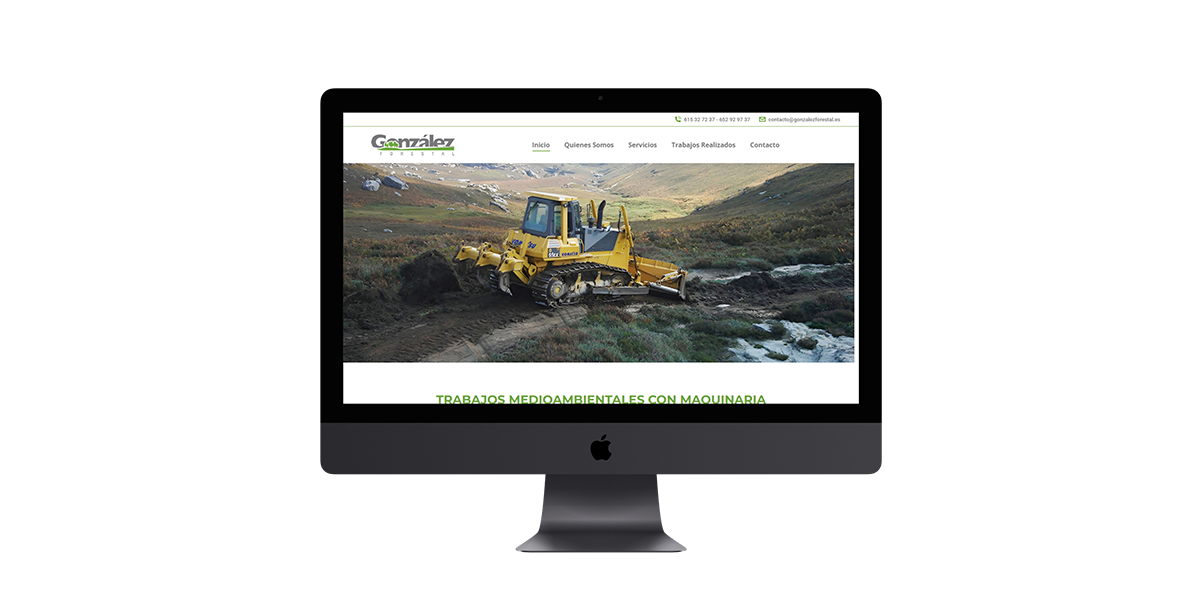 diseño web para gonzález forestal