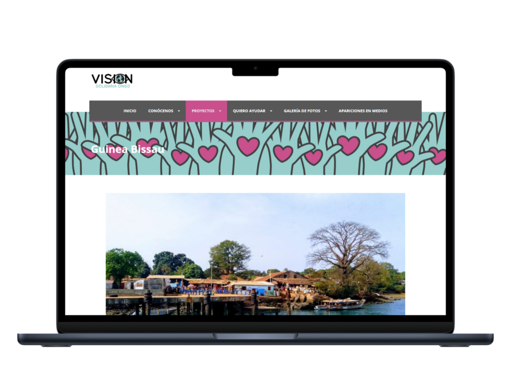 Diseño web vision solidaria ongd portatil