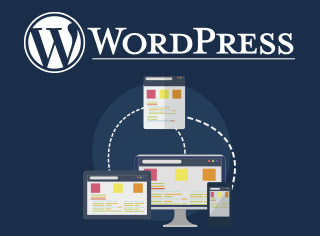 Manual WordPress