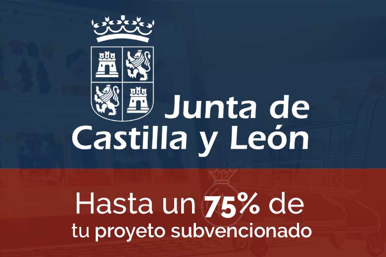 La Junta de Castilla y León pone en marcha las Ayudas para la digitalizacion de PYMES